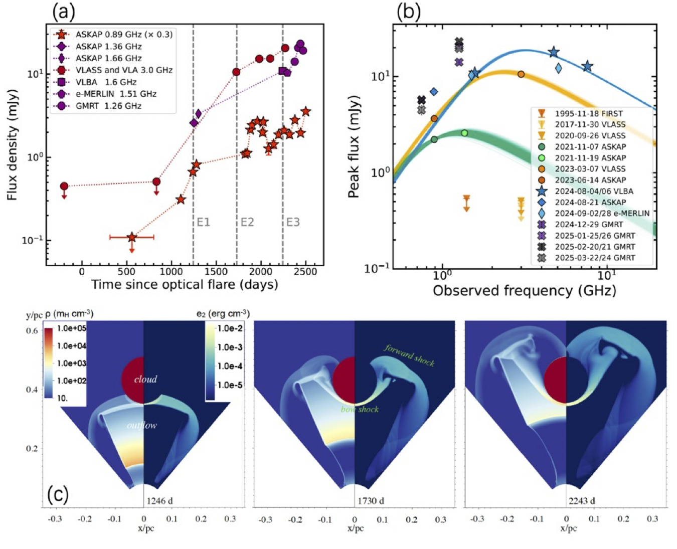 Figure 1: The radio flux (a) and SED evolution (b) of the TDE AT2018cqh observed by an extensive network of radio telescopes including e-MERLIN. The evolution of the density and shock energy in the radio-emitting region based on the hydrodynamic simulations of the TDE outflow interacting with a dense cloud (c), which could reproduce the temporal evolution in the radio SED (b).