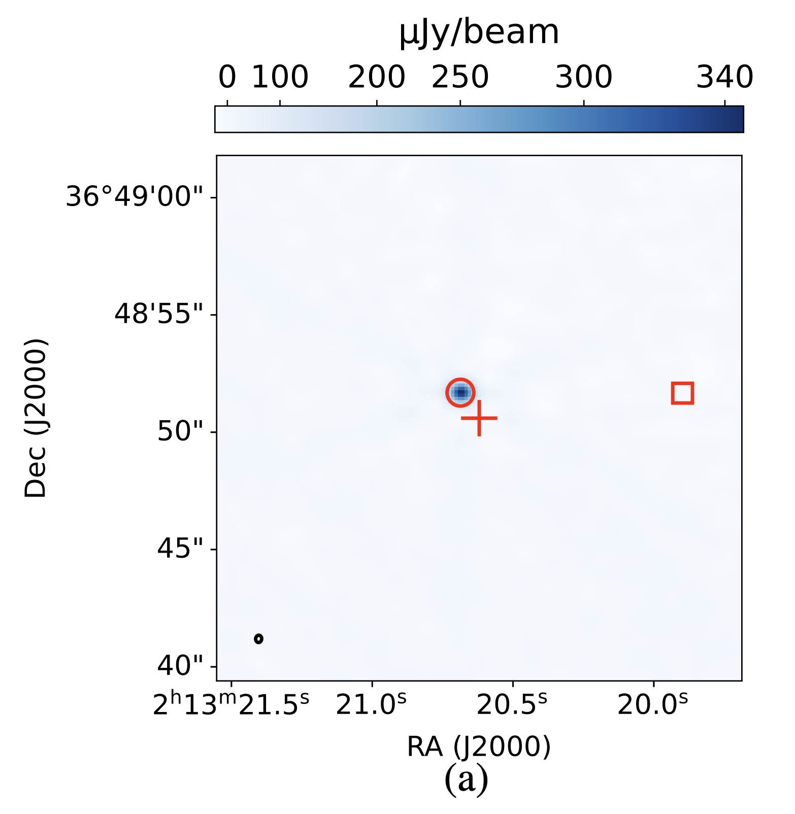 Figure 1: Stokes I image of 2M0213 AB. The binary is unresolved and enclosed in the circle with a red outline. The binary is detected at a peak flux density of 356 μJy/beam.